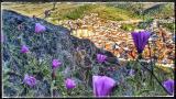 Feria en primavera